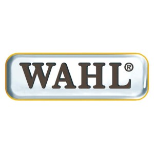 42-wahl_logo