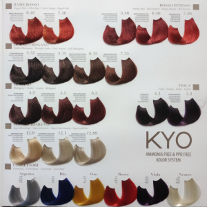 Kyo Ammonia Free Color System 100 ml